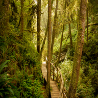 MeguHori180952's profile picture. 水族館、プレゼンテーション、サーフィン、サイクリングを趣味とするミニマリスト人物です。早期退職を計画中、新しい挑戦を続けています。