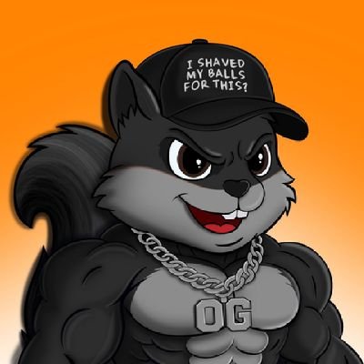 PatriotsView89's profile picture. WEB3 contractor/$Peanut believer/Pro-Trader/AI connoisseur