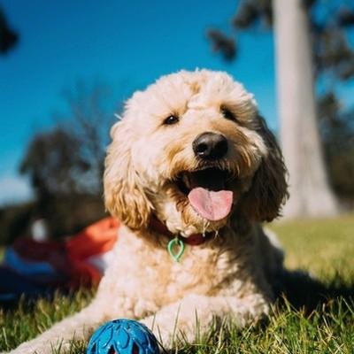 FlawlessContent's profile picture. 🎨 Creative soul | Believer in the power of imagination