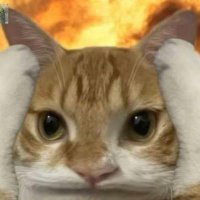 sAL²⁶ (@alll0s_s) 's Twitter Profile