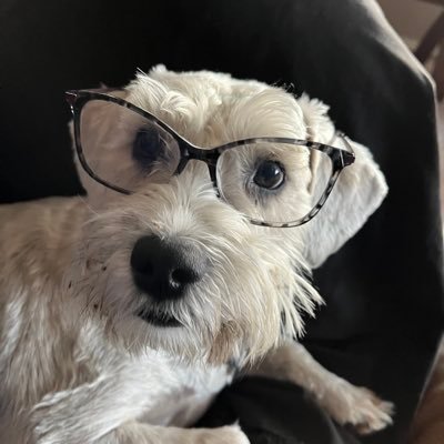 DebGoertzen's profile picture. I love my country 🇺🇸🇺🇸, Lady Rider, Schnauzer Lover, Patriot