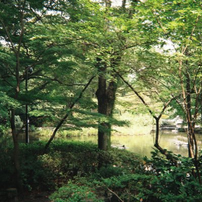 kishimi2_'s profile picture. 20↑hnnm夢アカウントです！よろしくお願いいたします。 2025/09/12〜　リトリン作成途中