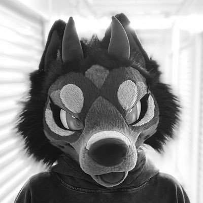 ⚠️BITE RISK⚠️ || She✨Her || ✧ 🔞 Occasional NSFW ✧🪡self made ✧🌹