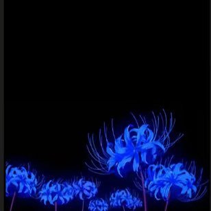 Crise_3101's profile picture. 