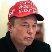 Entrepreneur I Spacex • CEO & CTO 🚔| Tesla • CEO and Product architect