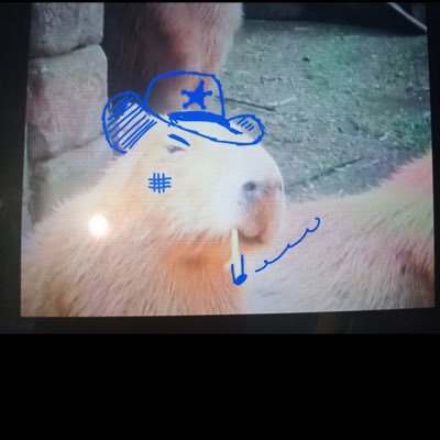 kokodoradesu's profile picture. 男です