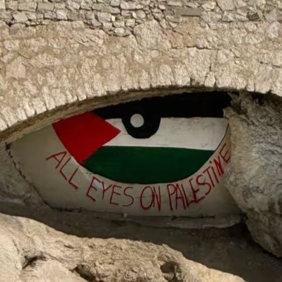 AftersunFanatic's profile picture. 