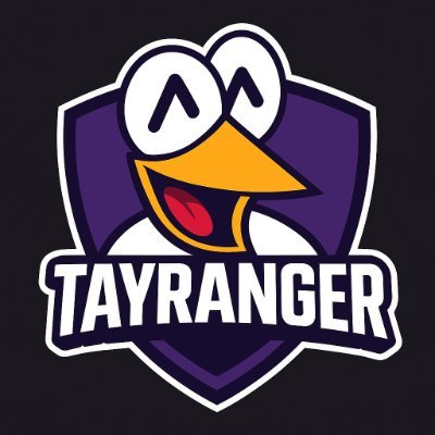 Ex competitive Siege player turned Streamer/Content Creator