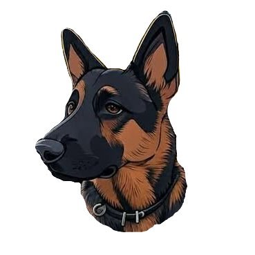 PlayboySurfer5's profile picture. 