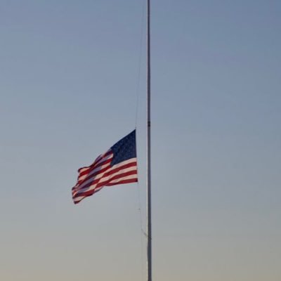 GordsGold60's profile picture. 