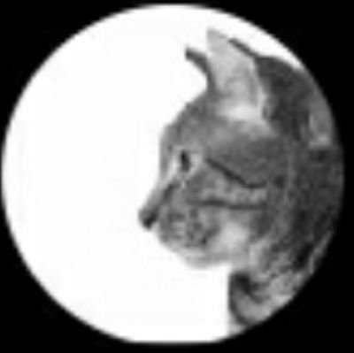 hirosabu00's profile picture. 