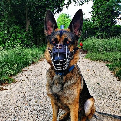 Frag nicht nach dem Sinn des Lebens, gib ihm einen.
Alle Tweets nach GG Artikel 5
RT bedeutet nicht automatisch Zustimmung
Wer mich listet, wird geblockt. No DM