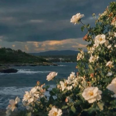 staceyadongo's profile picture. 