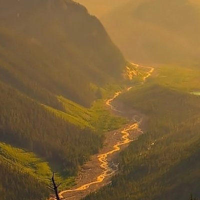 LyLmya66016's profile picture. 