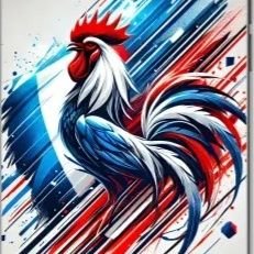 Contre l'islamisation de la France… Musique, art, divertissement… Je partage tout ce qui est beau et esthétique…