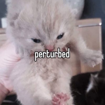 perturbedglamor's profile picture. surrender to da moment | 19 | #dolltwt