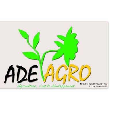 ♛Master professionnel en Agronomie
Fondateur/PDG ADEAGRO
Cotonou N°RCCM RB/COT/22 A 81173♛