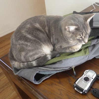I just wanted to be left alone to work hard and take care of my family. Apparently, that is not permitted.
Since this is not a negotiation, screw them.