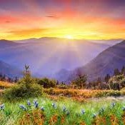 lo_bocar63682's profile picture. 