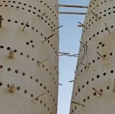 Bagnard05's profile picture. 