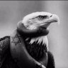 billblackburn87's profile picture. Conservative Independent 🇺🇸