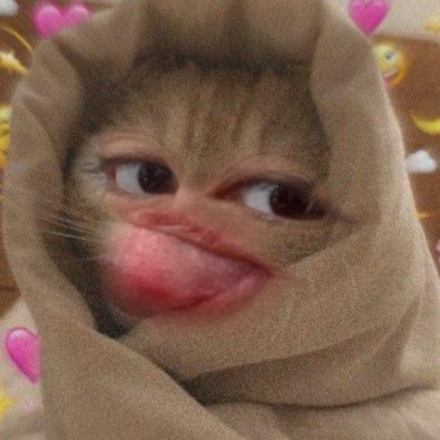 prensesangelw's profile picture. 