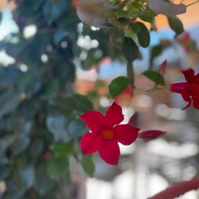 Krisha0919's profile picture. Peace within ✨