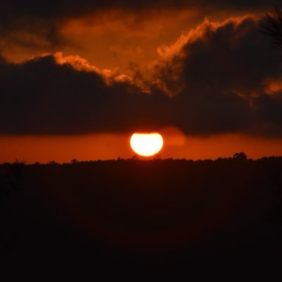 MaysaAlshiech's profile picture. founder & CEO of lotus- Women’s Hi tech Hub