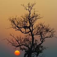 bilalsy21479's profile picture. 