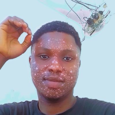 EmmanuelNkpouto's profile picture. Business student