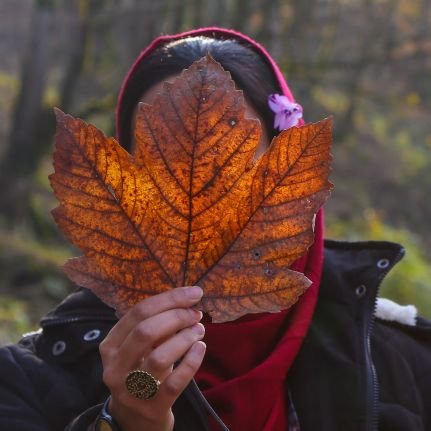 atlas_abi's profile picture. غیرتم کُشت که محبوبِ جهانی، لیکن

روز و شب عربده با خلقِ خدا نتوان کرد