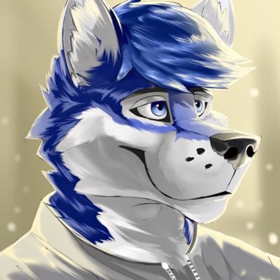 Rhys the Foxさんのプロフィール画像