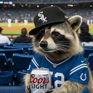 ImSoSteezyy's profile picture. @WhiteSox - @Colts - @NHLBlackhawks - @ChicagoBulls