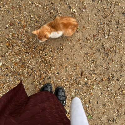 ind__s's profile picture. صَلُّوا عَلَى النَّبِيِّ