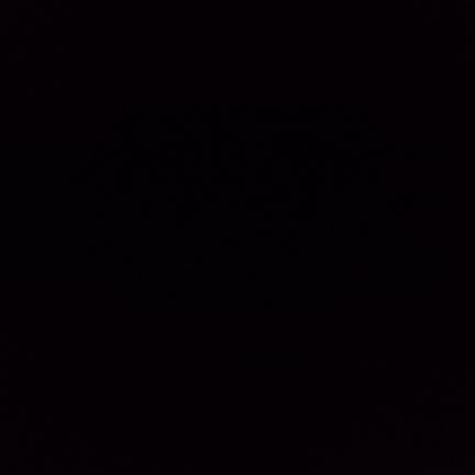 81Aleex's profile picture. 