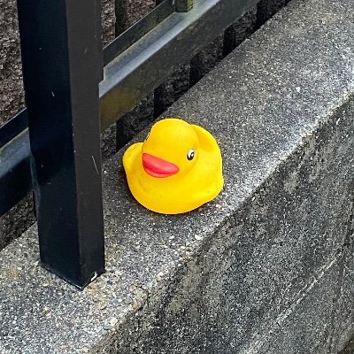 nzp41475's profile picture. 今日から生まれ変わる。