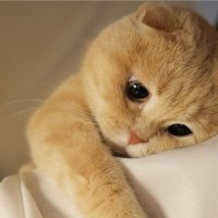 𝙺𝚊𝚘𝚛𝚞𝚗 (@leeknow25oct) 's Twitter Profile Photo