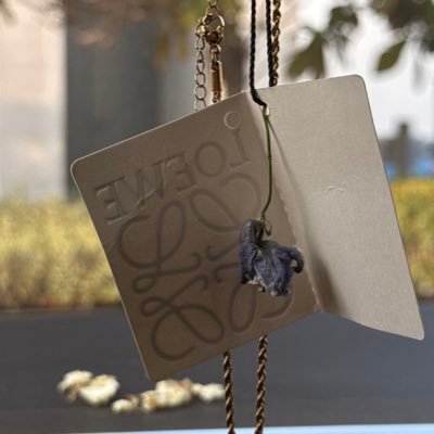 uniquenio's profile picture. 