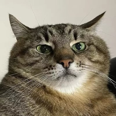 flyinamethyst12's profile picture. читаю от вас... щоб знати шо ви там