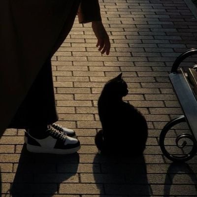 W_red9's profile picture. سَرَادِيبٌ مِنَ الحُرُوفِ… وَأَثَرٌ لَا يَزُولُ.