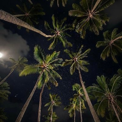 Nayemamn's profile picture. 🤍