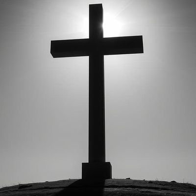 Tbarreneche1's profile picture. Servant of our Lord Jesus Christ , Conservative, We must repent and return to the God of our Forefathers,
4 beautiful children.  Grandmother of 12. #TrumpWon