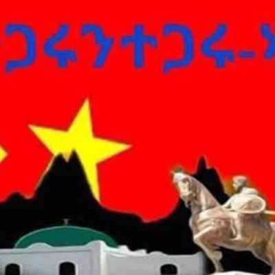 Tigray lives is matter and Advocator for #Tigray #ሕብረትተጋሩንተጋሩ #AnythingforTigray #TigrayGenocide