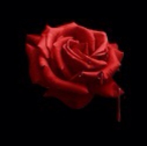 zon_gio's profile picture. G