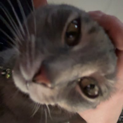 jüsさんのプロフィール画像