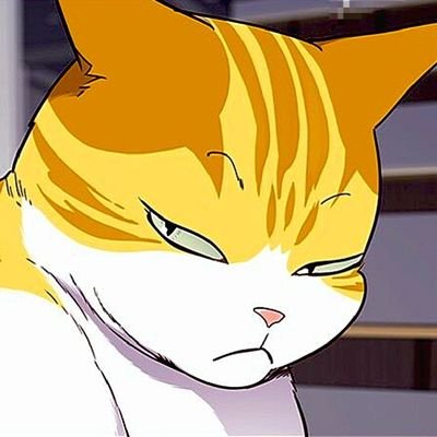 KarakAdris6999's profile picture. 