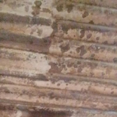 Boywnb110644's profile picture. akupadamu