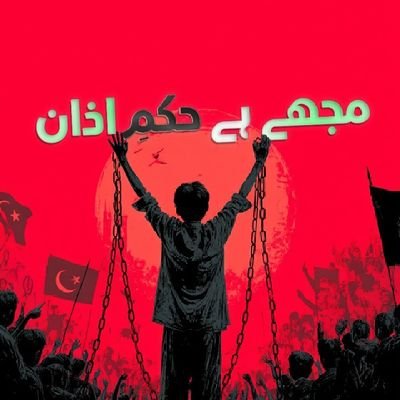 MalikTaimoorAl5's profile picture. 