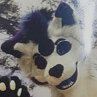 FURRY SINCE 2011
IM DRAGONKIN, DRAGONESS OF WATER&EARTH
🏳️🌈🇲🇫🔞⛔♋ NO DRAMA
(TAKEN pti dauphin /TDAH/BI/OTHERKIN/FURS/36ANS)🏳️🌈🇲🇫
