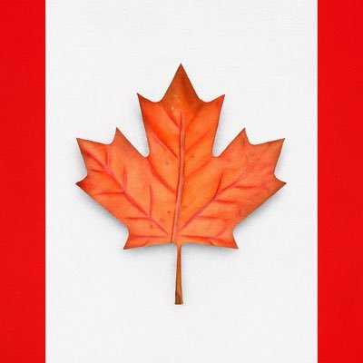 OttawaBob's profile picture. Retired Forensics Investigator. Dog lover, Canadian Tire Centre employee. Loving life!